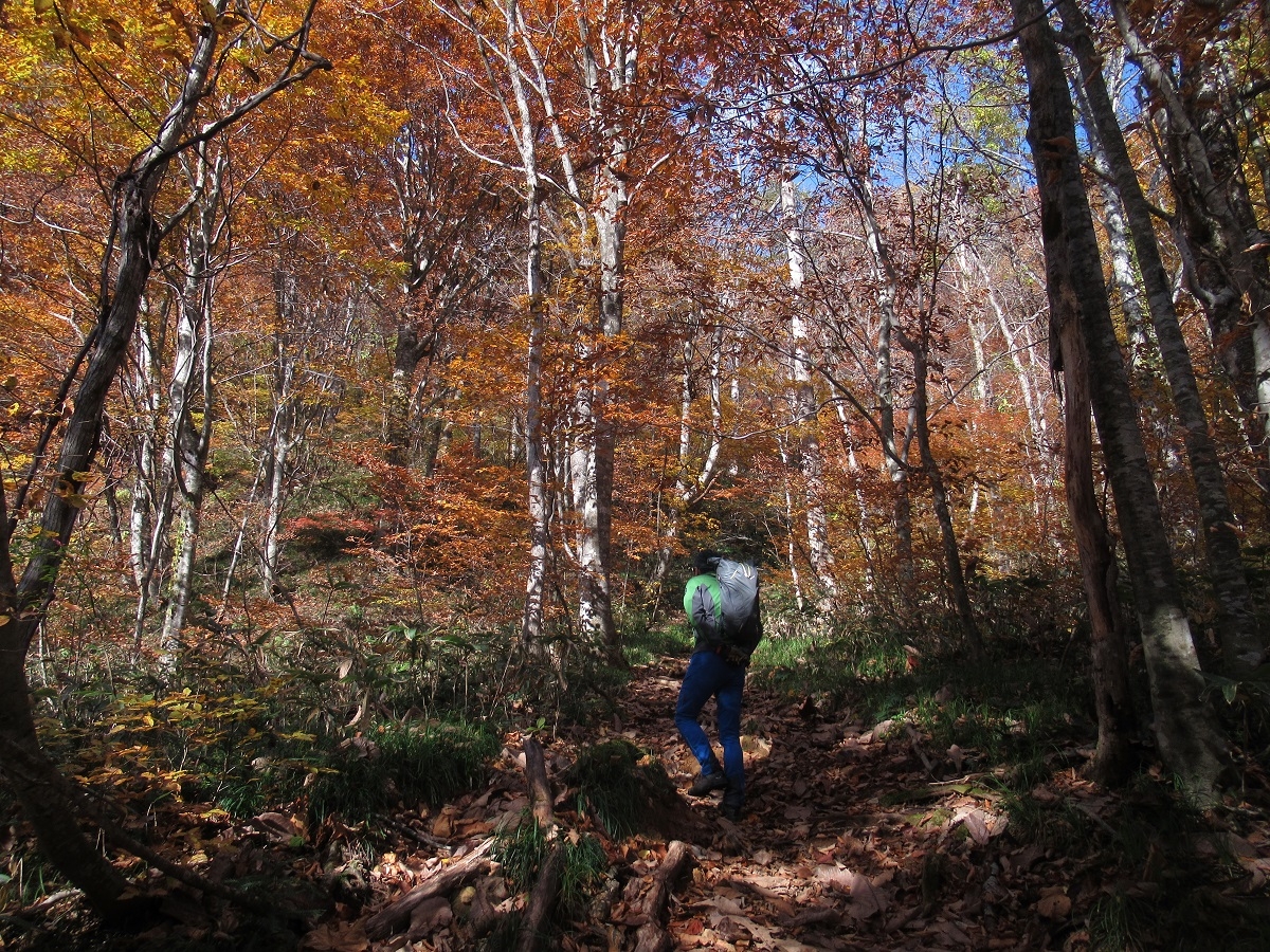 登山者カウンタ