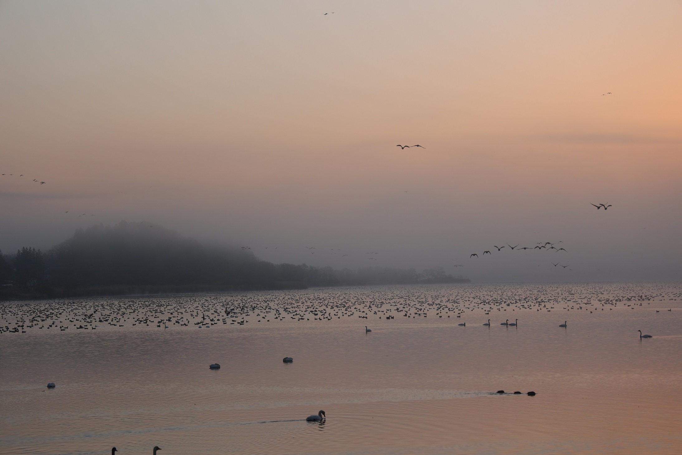 少し明るくなった沼