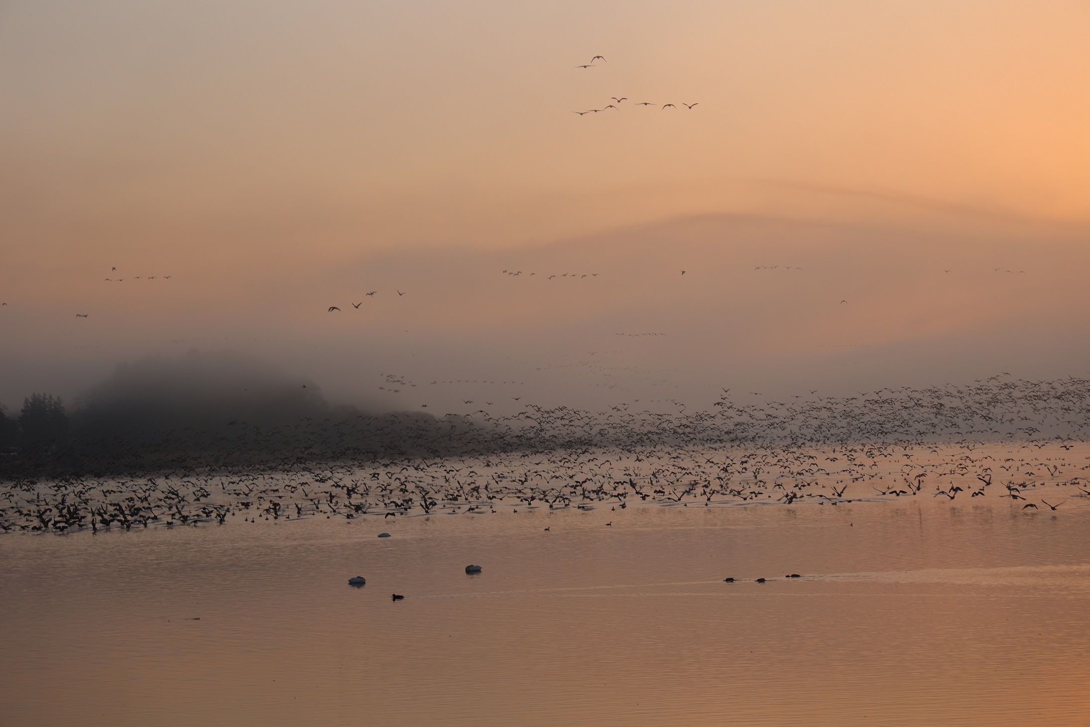 飛び立ちが始まった