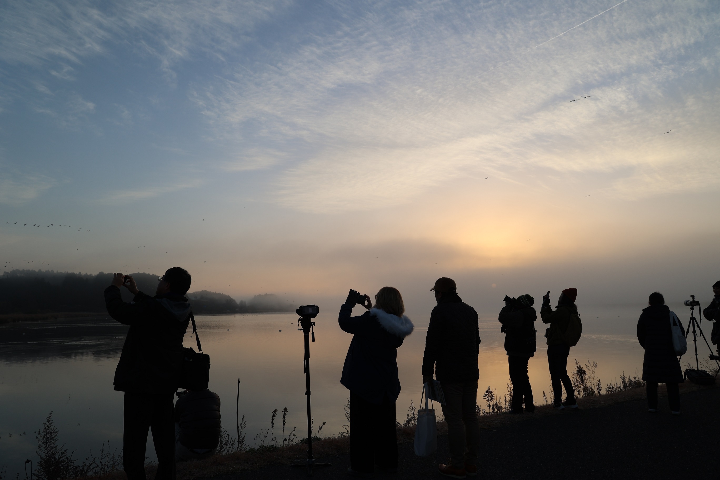 観察していた人々は満足