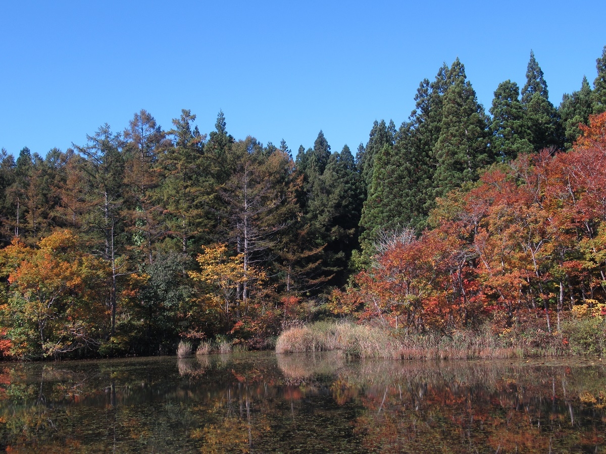 羽黒自然の小径