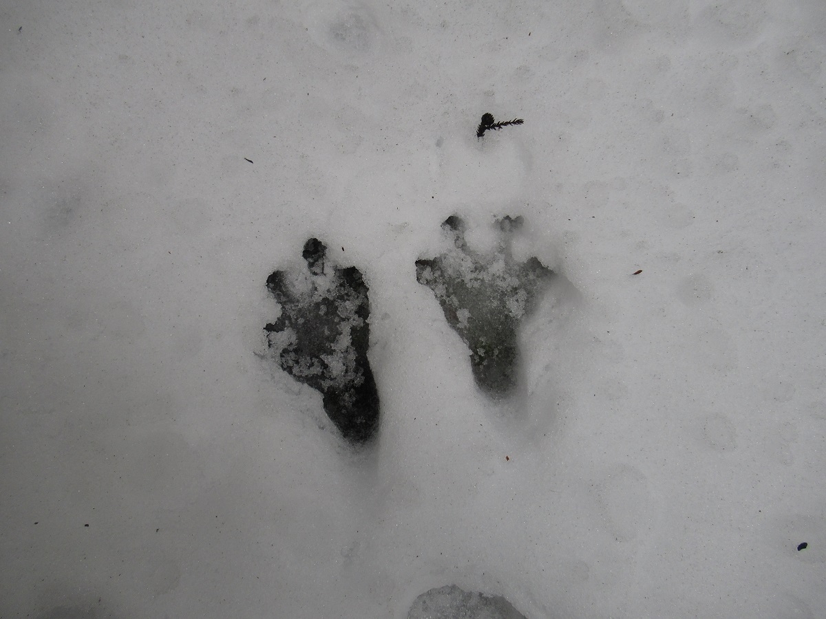 羽黒自然の小径