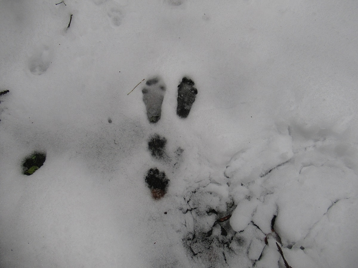 羽黒自然の小径