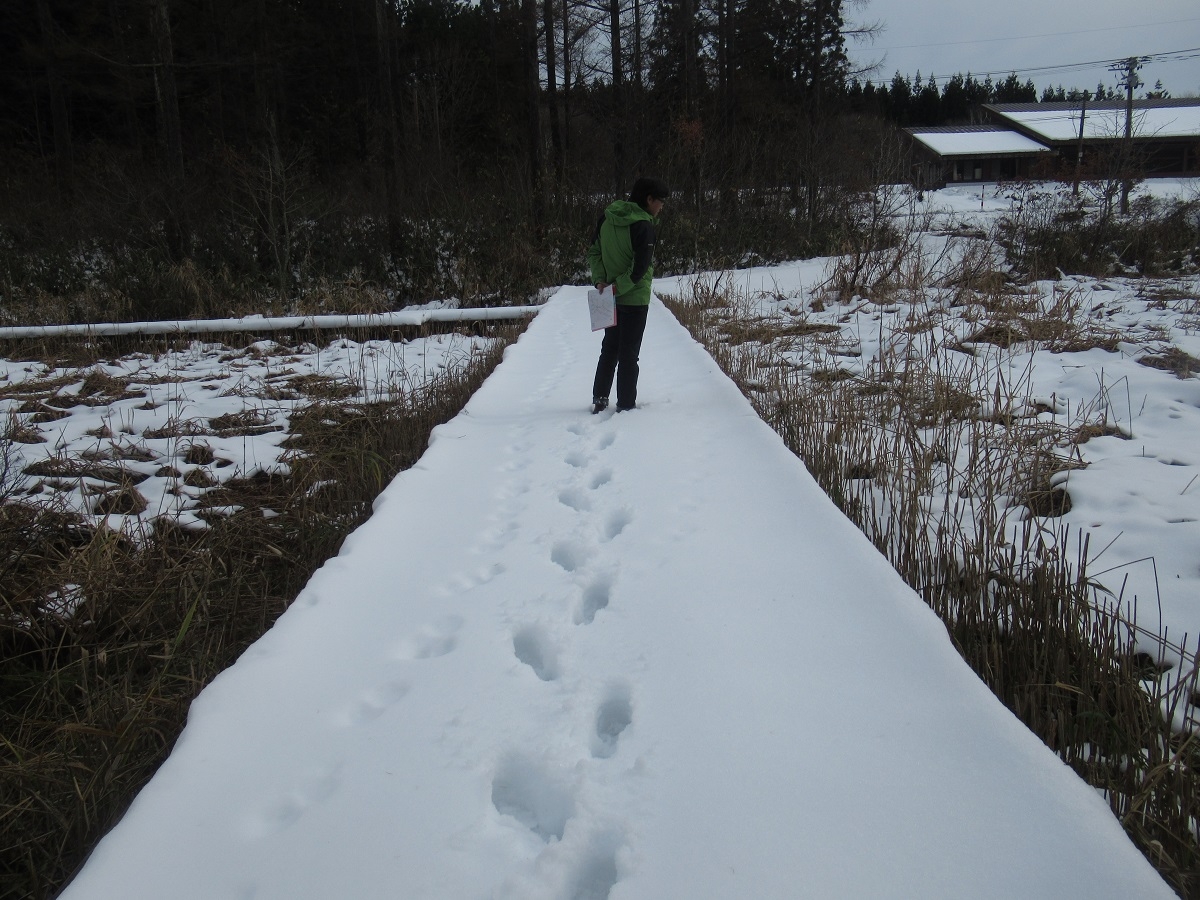 羽黒自然の小径