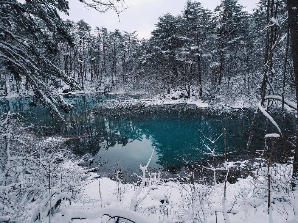 雪が降った青沼の様子。青色がきれいです