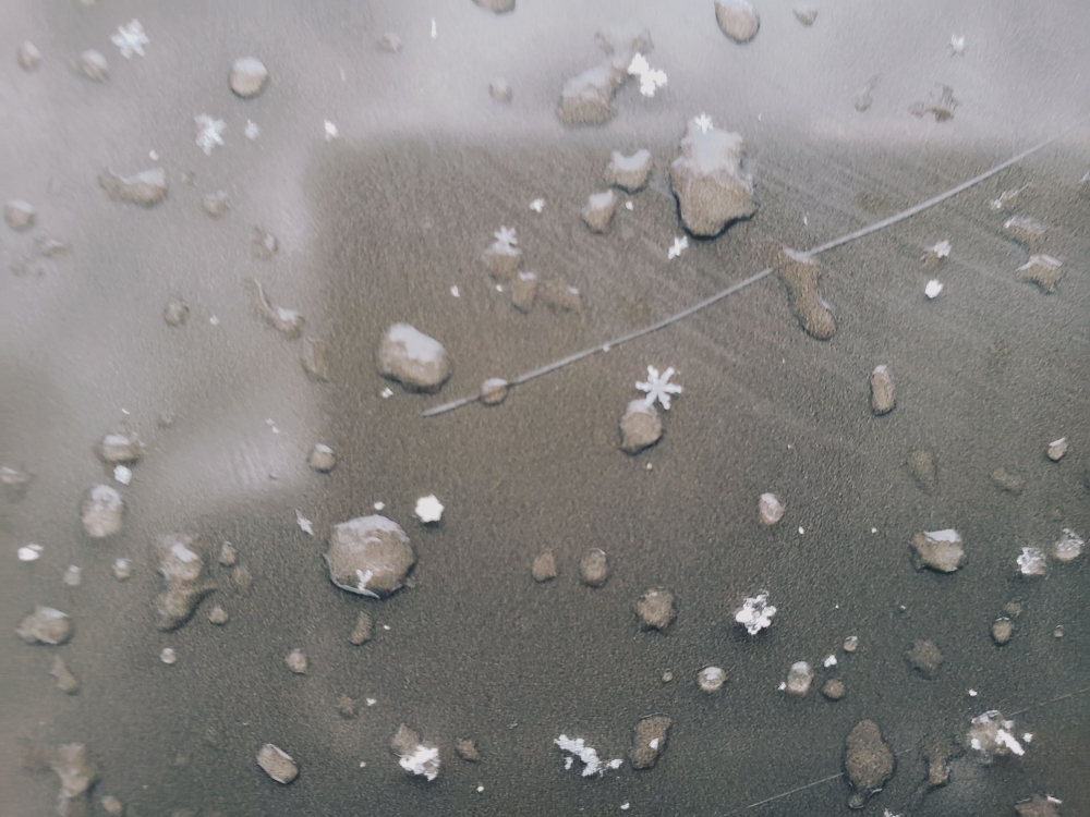 探勝路の看板に雪の結晶が付いていました