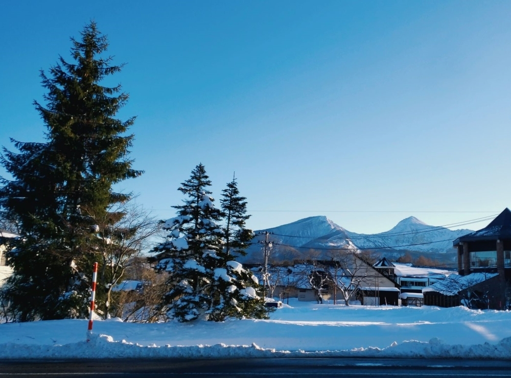 事務所前の通りから見える磐梯山