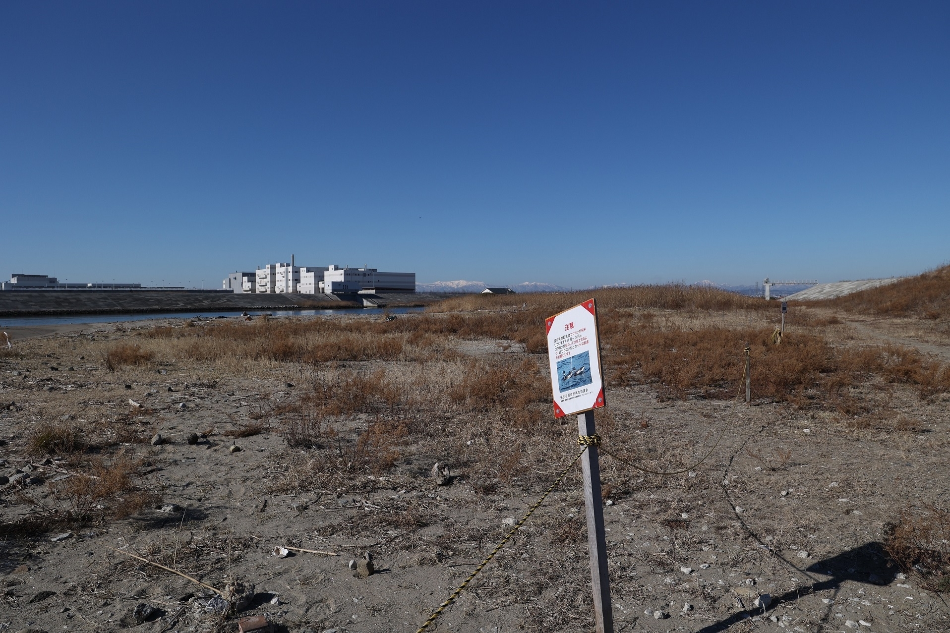 コクガンの休息場所に人が立ち入らないようにお願いする看板