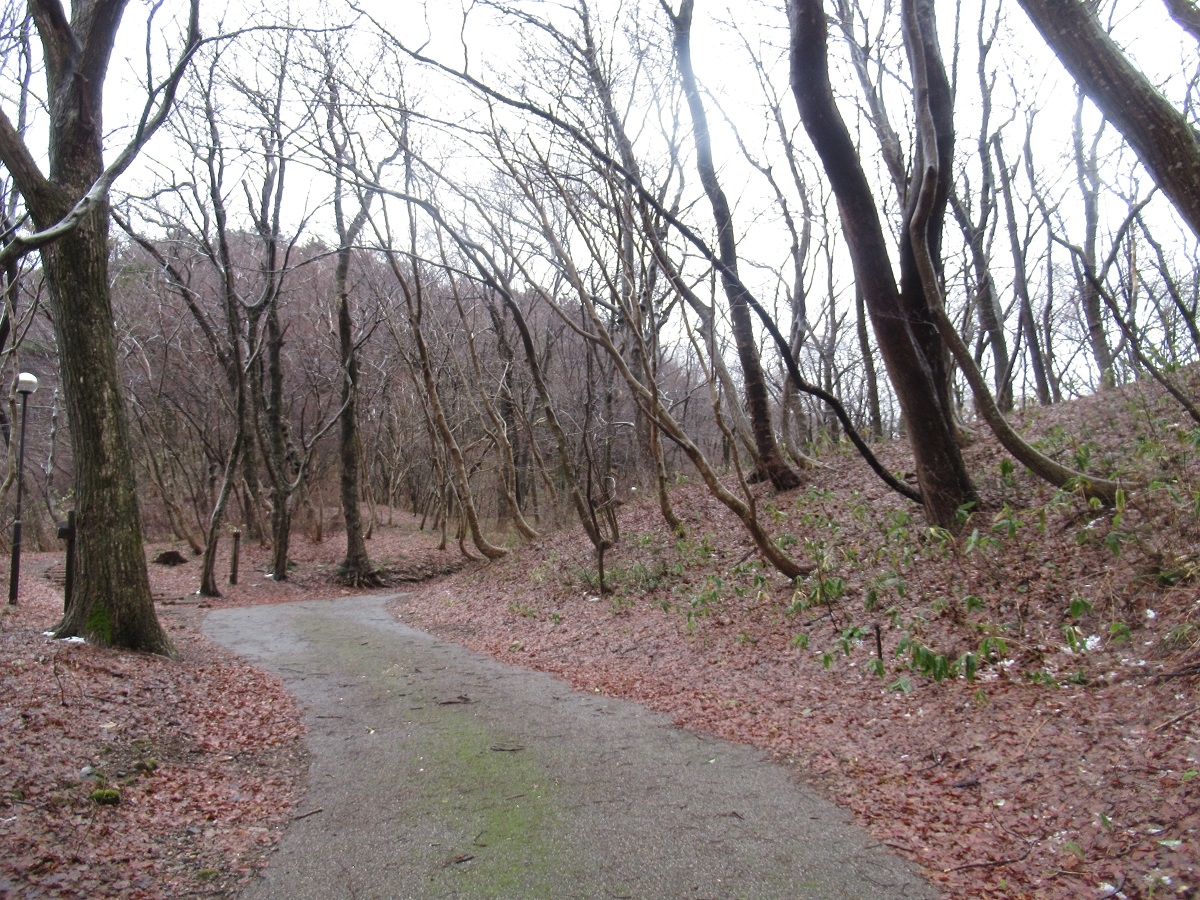 鷹ノ巣キャンプ場