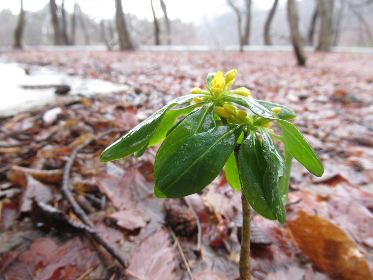 鷹ノ巣キャンプ場