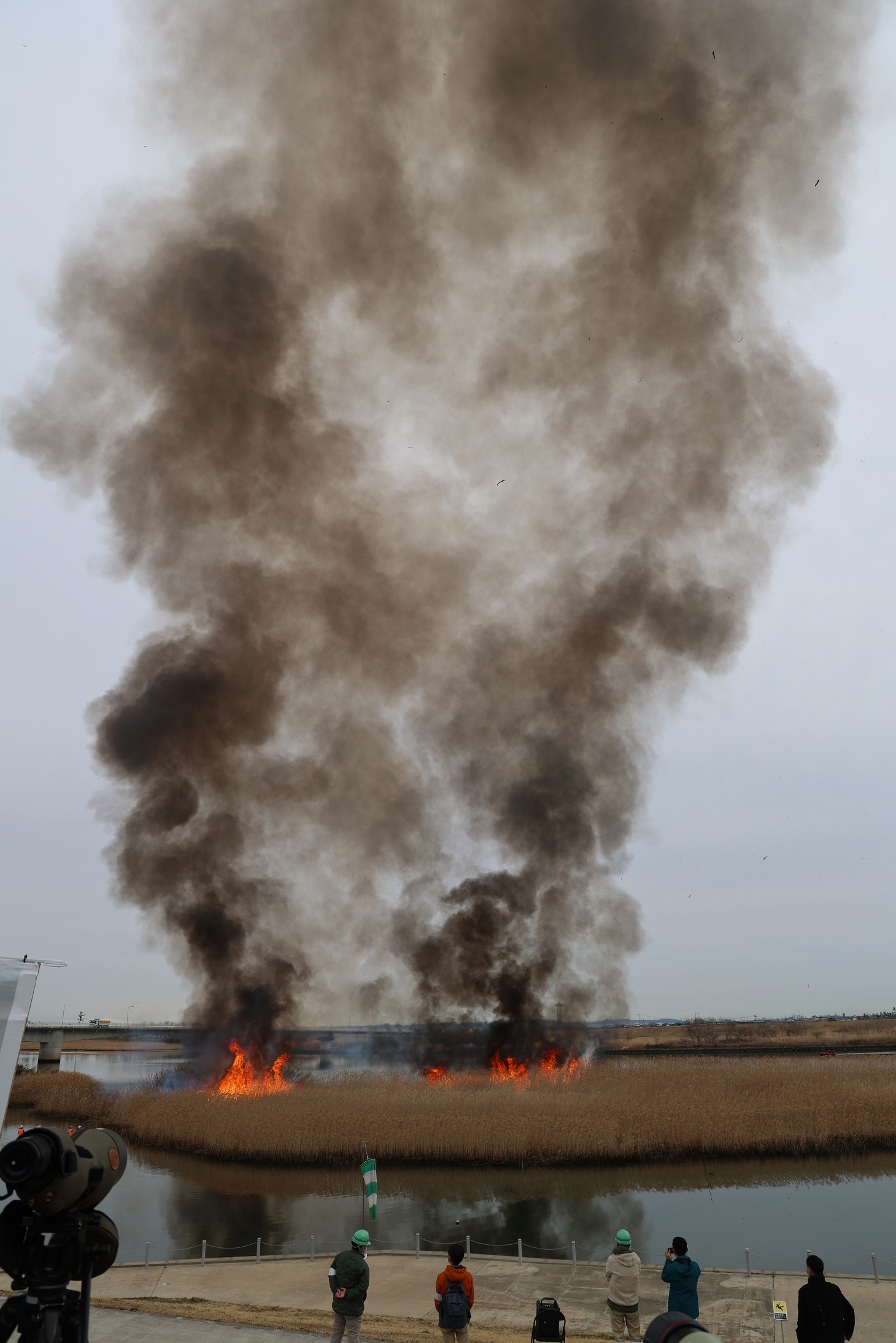 ヨシ原に炎と煙が見え出した
