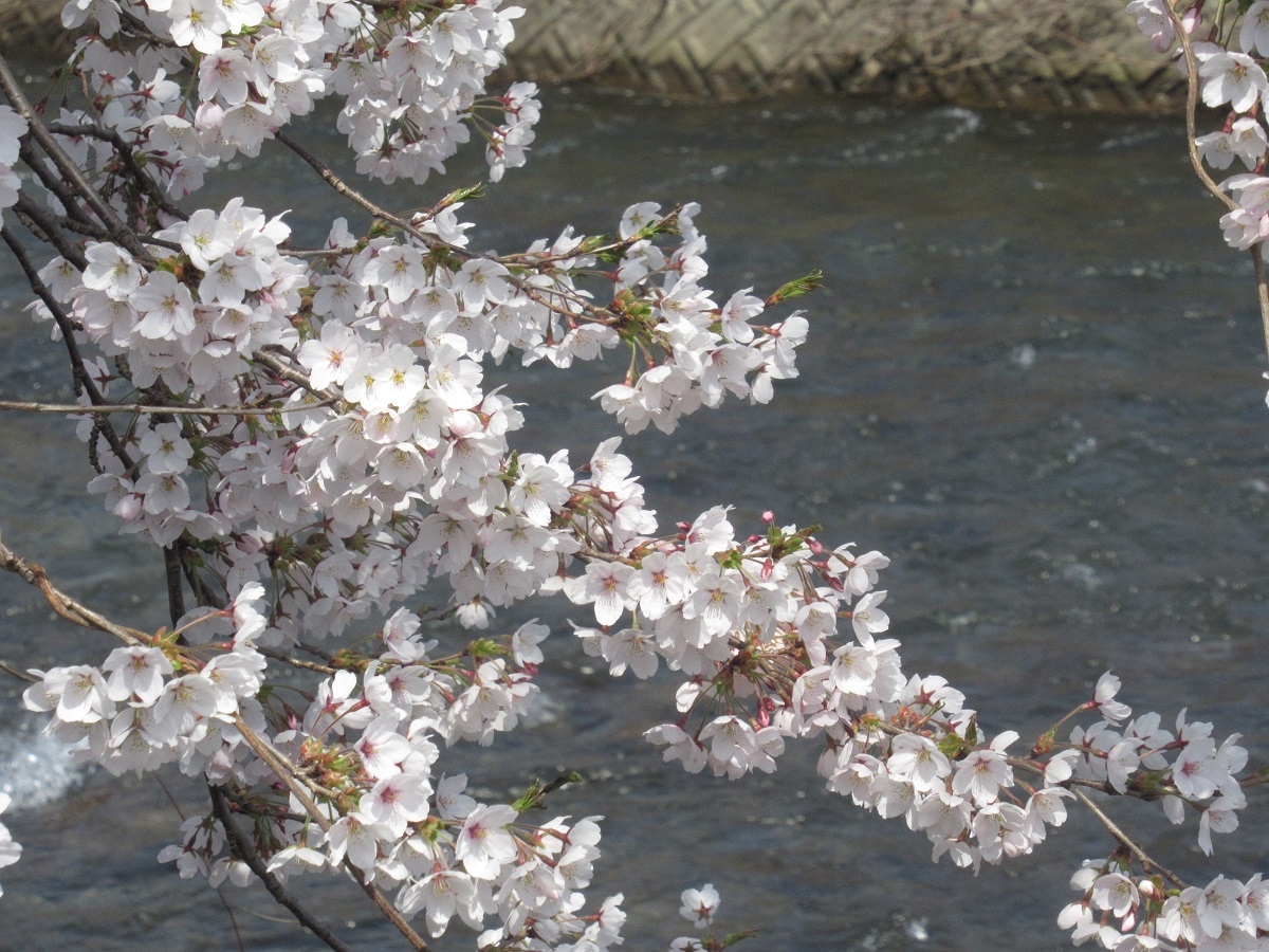 羽黒自然保護官事務所