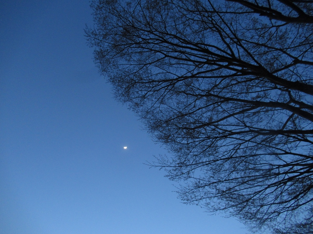 羽黒自然保護官事務所