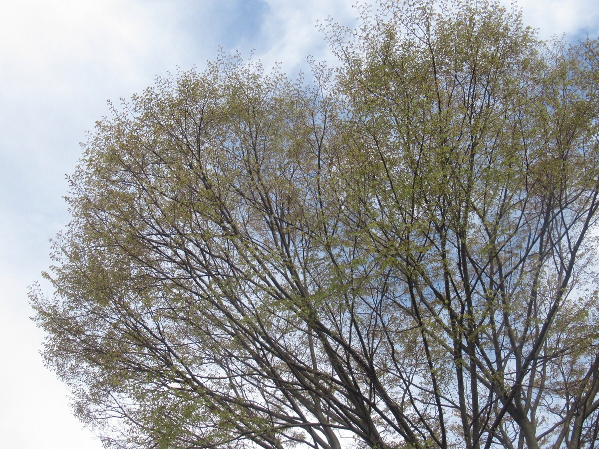 羽黒自然保護官事務所