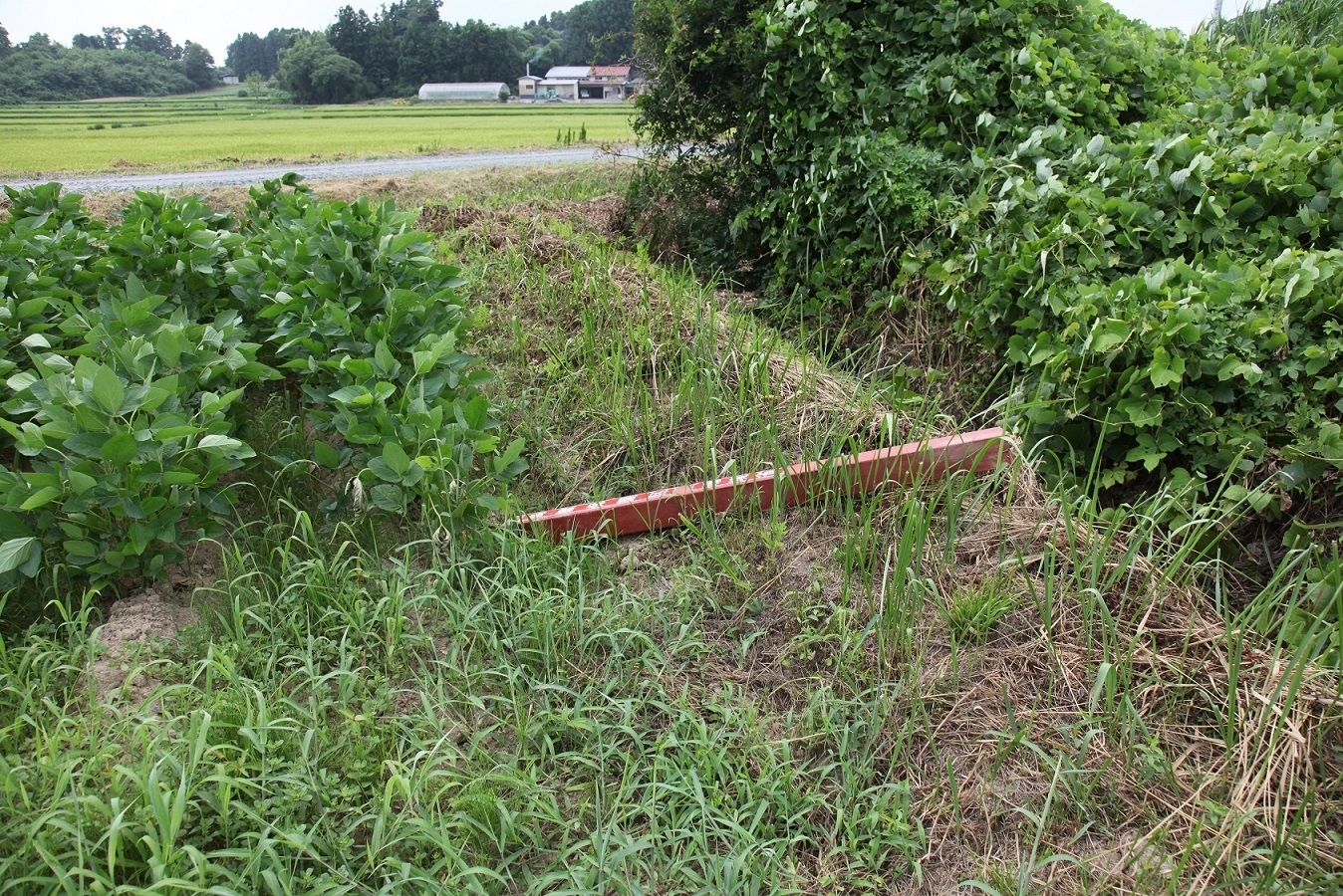交通事故に遭った制札