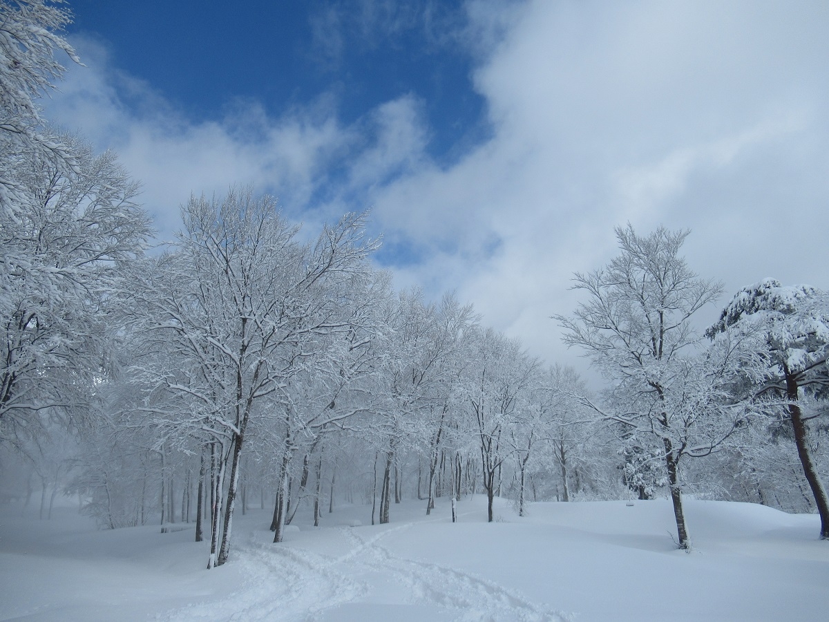 羽黒山キャンプ場