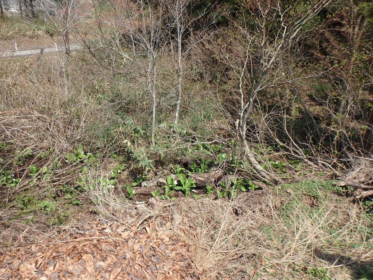 月山ビジターセンター