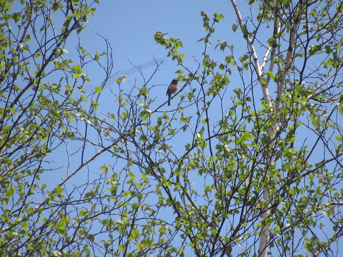 月山ビジターセンター