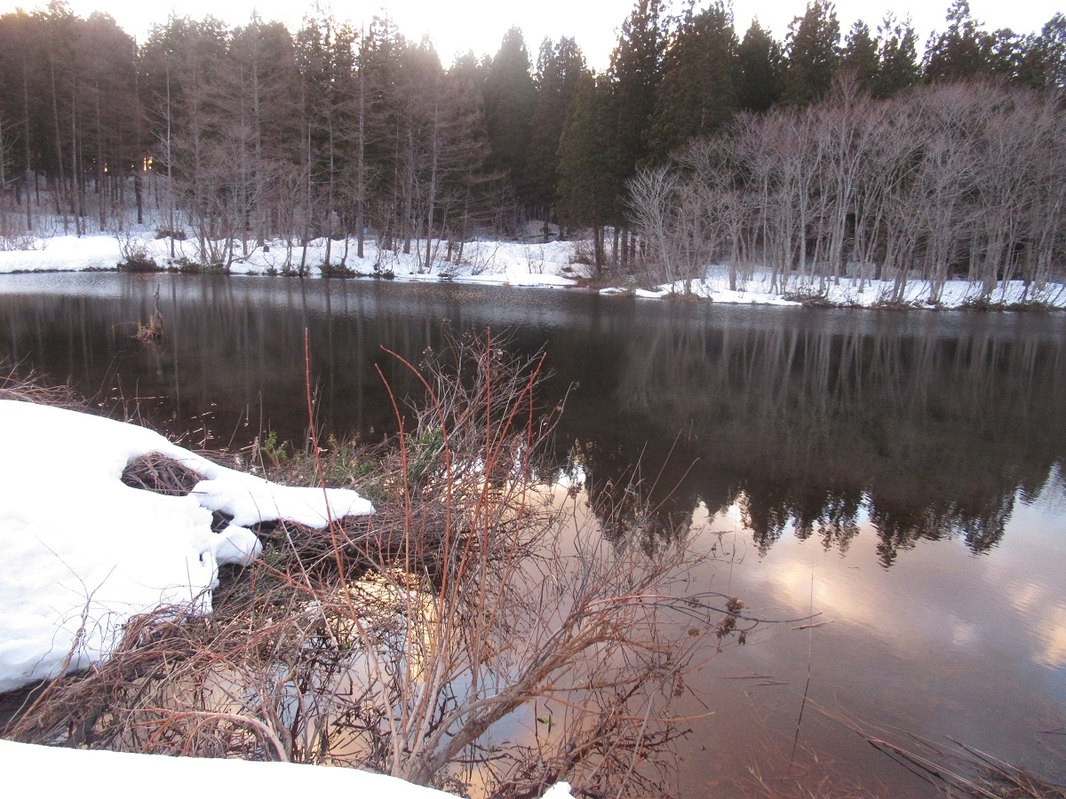 二夜の池