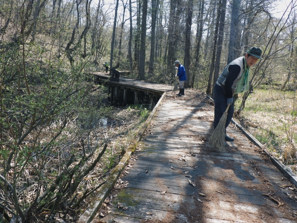 木道を掃除する様子