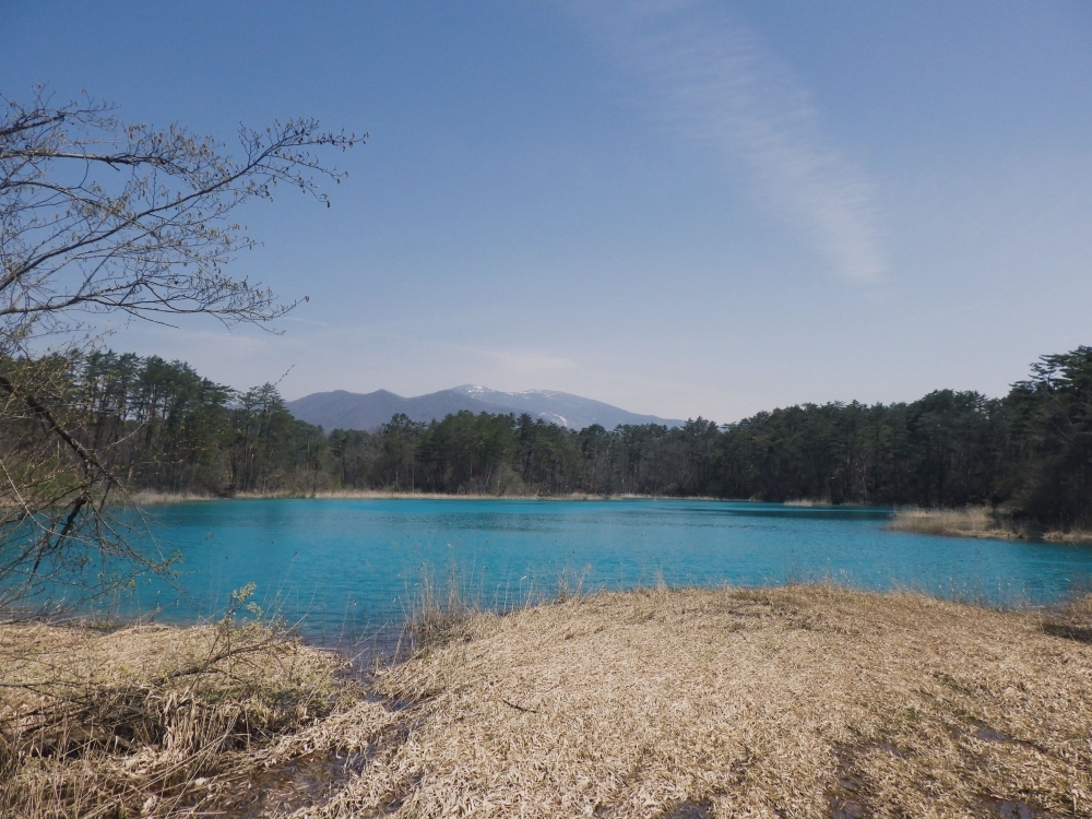 青く輝く弁天沼