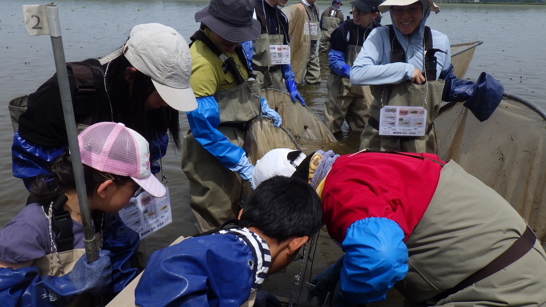 人工産卵床の確認