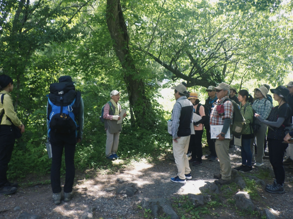 木道清掃の様子