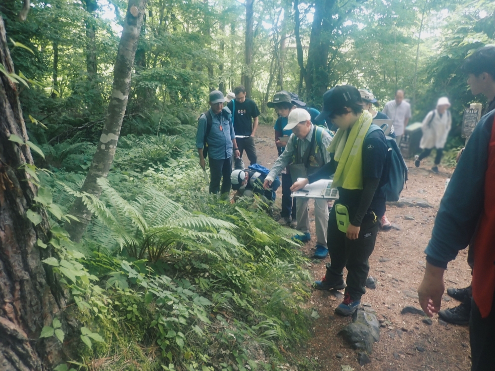 倒木撤去の様子