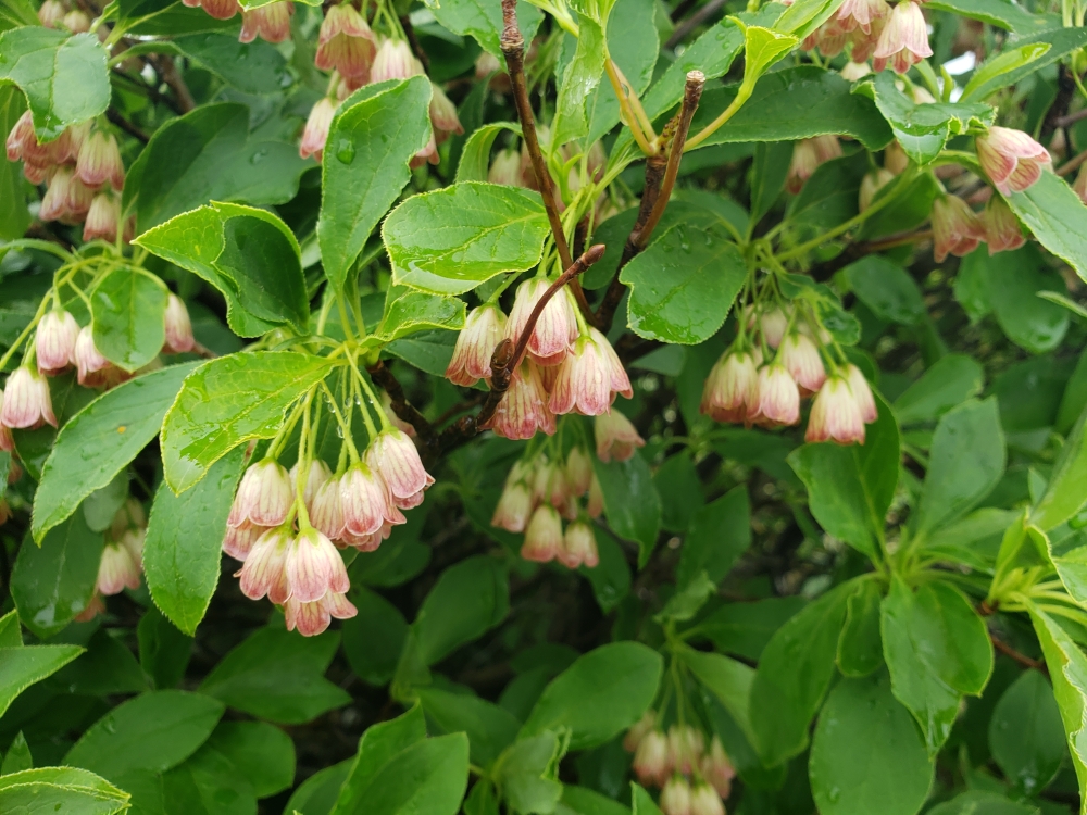 子ども達との自然ふれあい活動
