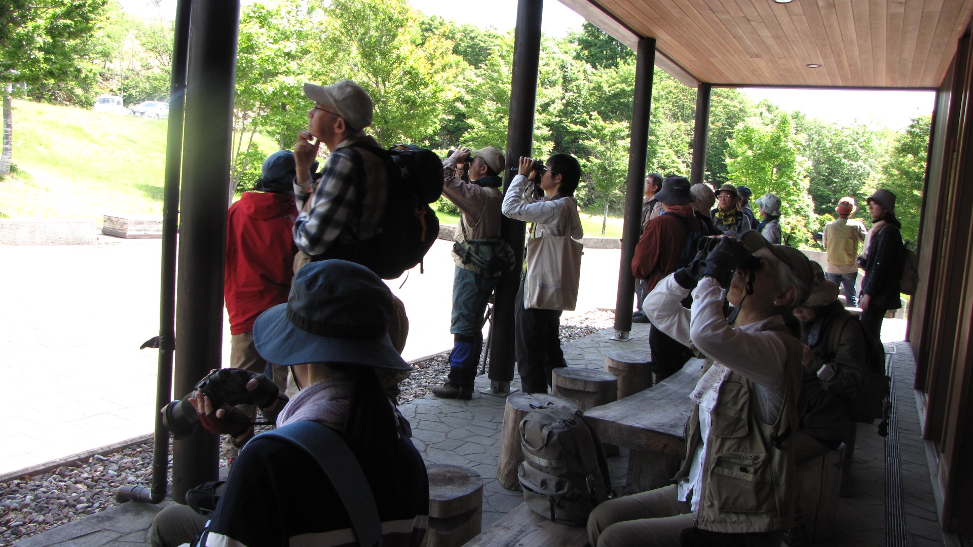 空を見上げる参加者