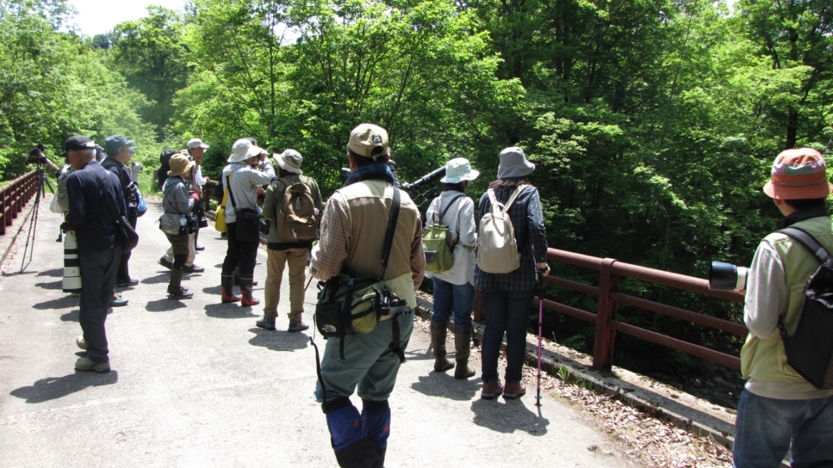 川辺を覗く参加者