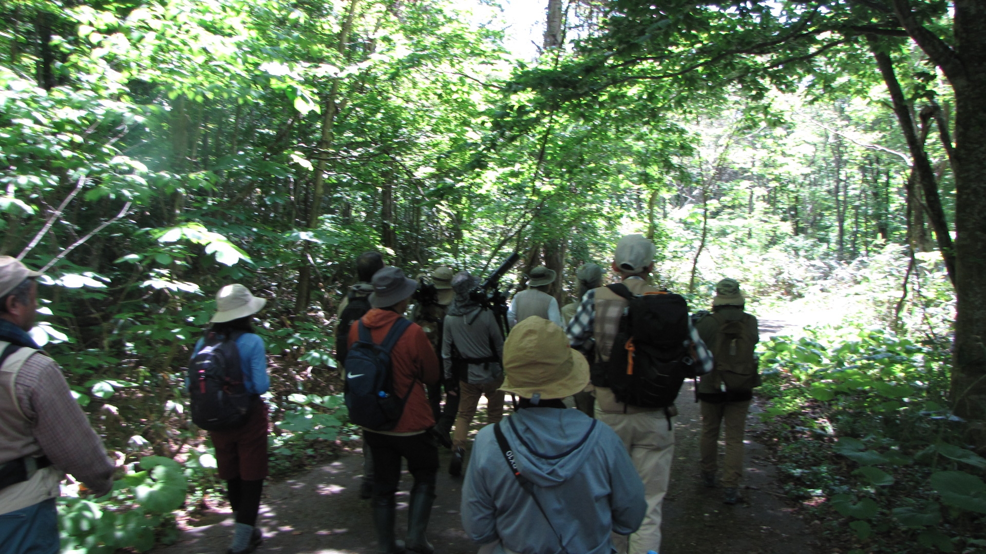 散策路を進む参加者