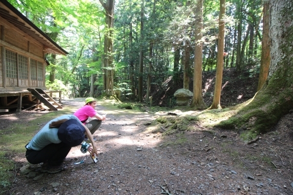 ＃巨木撮影を試みる姿写真