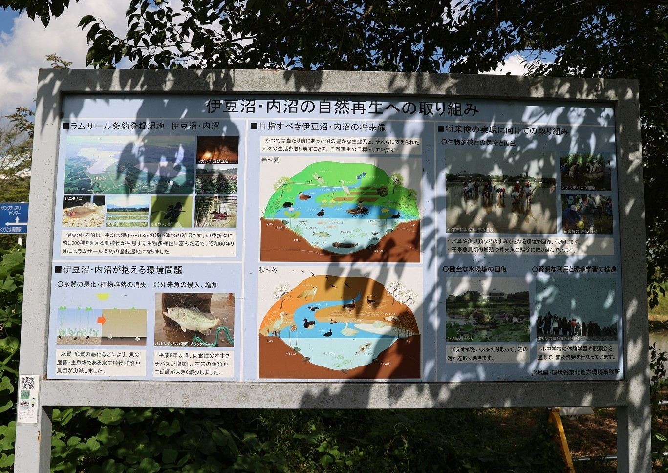 「伊豆沼・内沼の自然再生への取り組み」案内板の汚れ