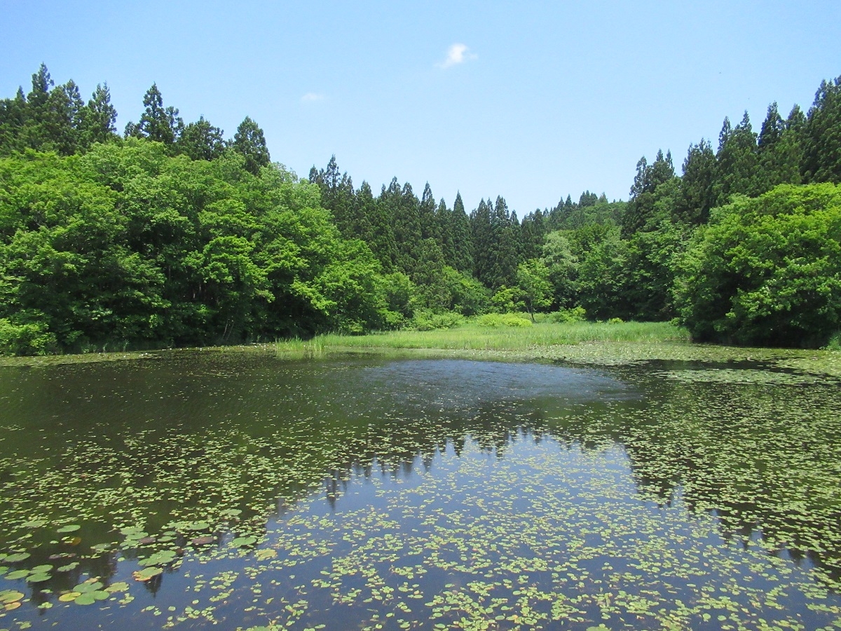 二夜の池＃二夜の池