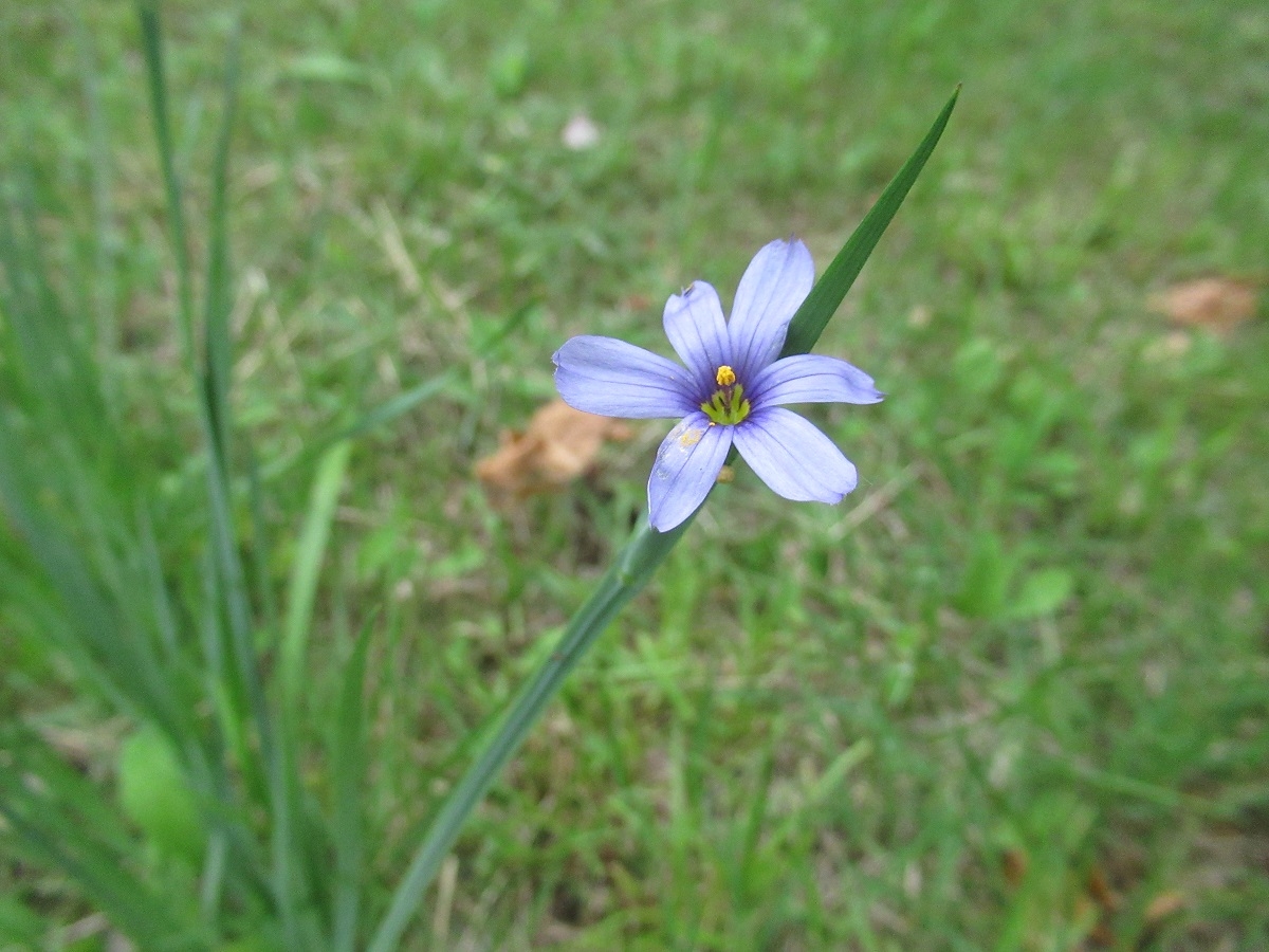 羽黒自然保護官事務所