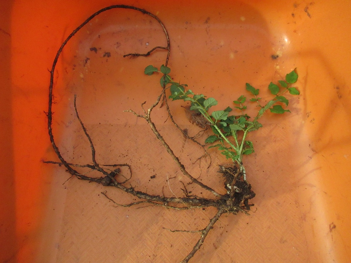 羽黒自然保護官事務所