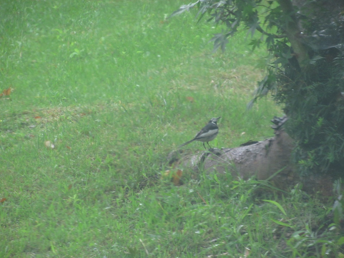 羽黒自然保護官事務所