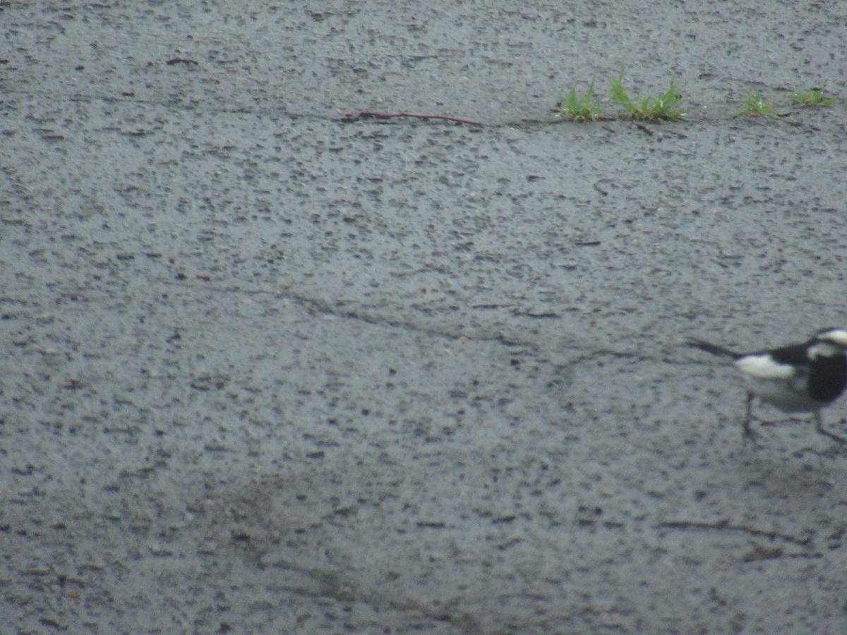 羽黒自然保護官事務所