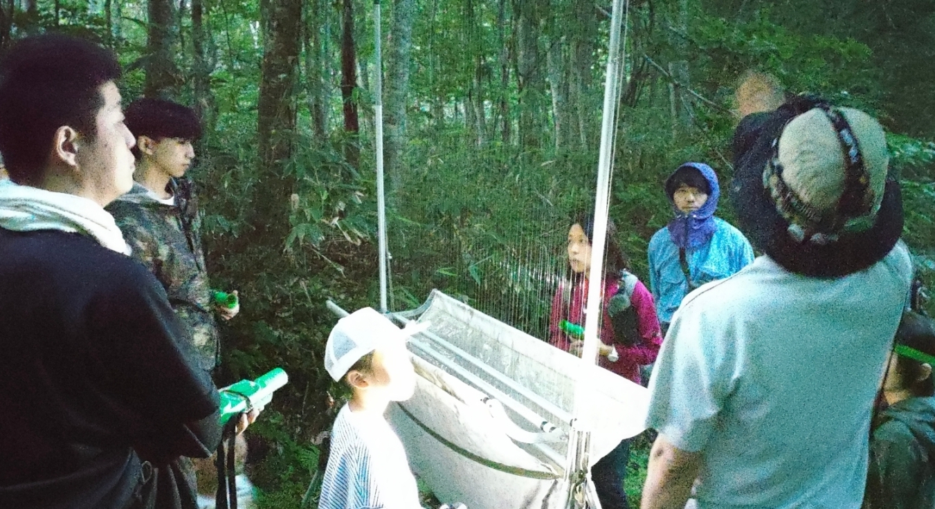 ハープトラップ