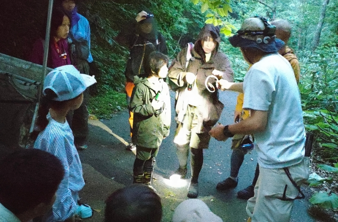 コウモリの腕に取り付けるバンド