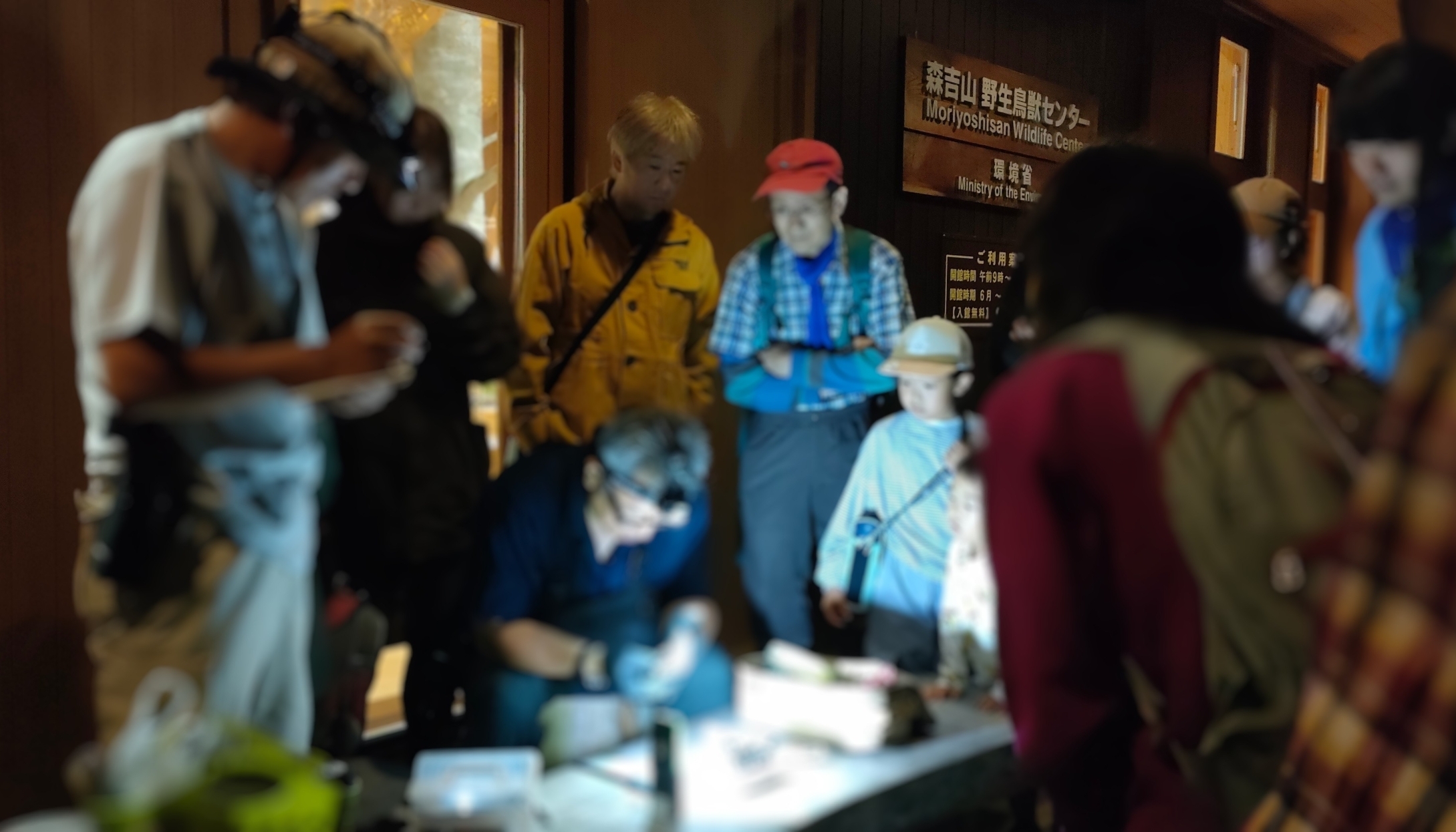 コウモリ測定中