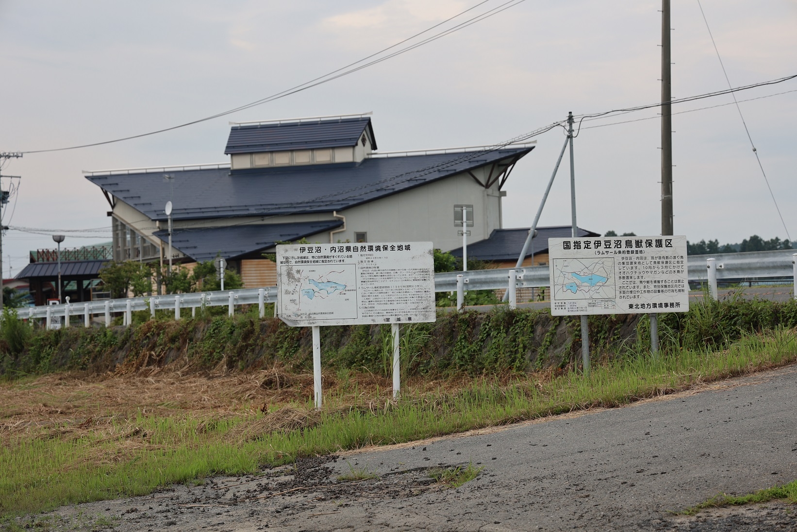 7月中旬の内沼の区域図