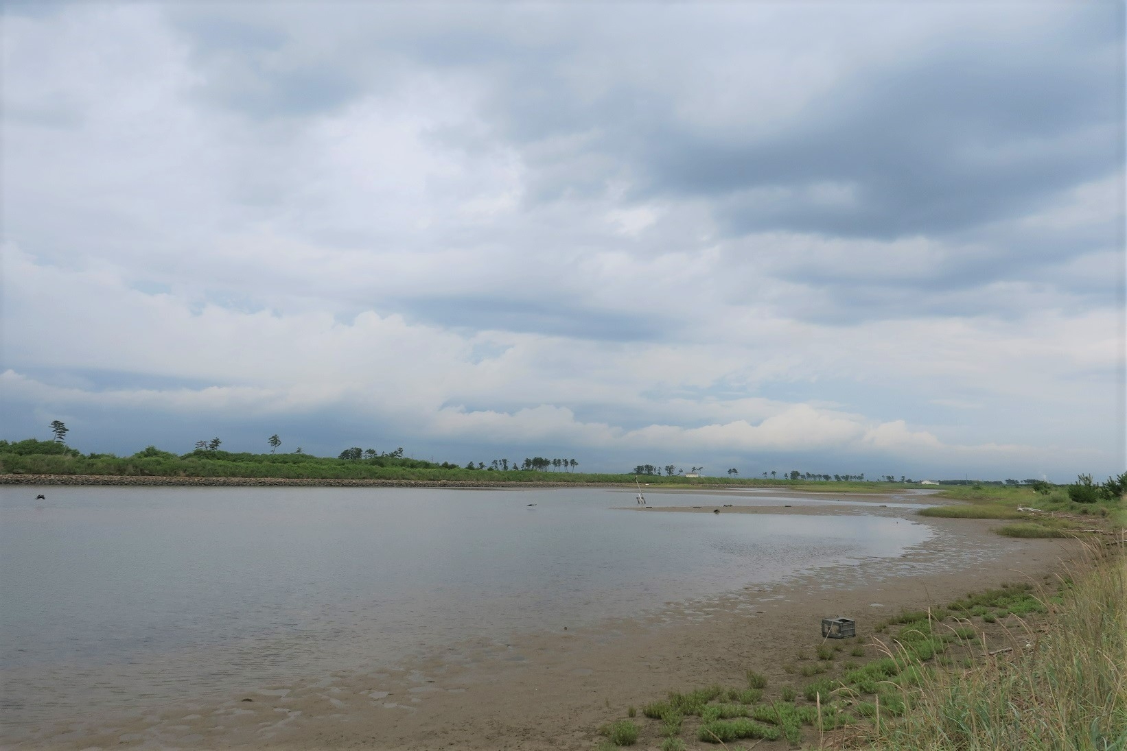 井土浦の開けたところから貞山運河の松林だったところ見る