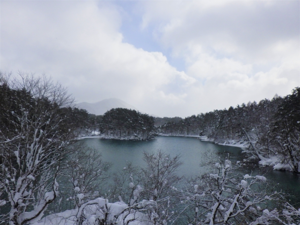 毘沙門沼展望台の様子