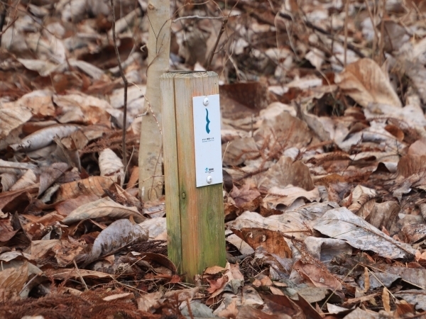 自然歩道脇に設置された木製の標識