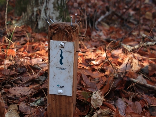 釘とビスを打ち込まれたg標識