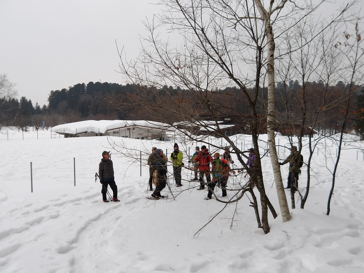 パークボランティア