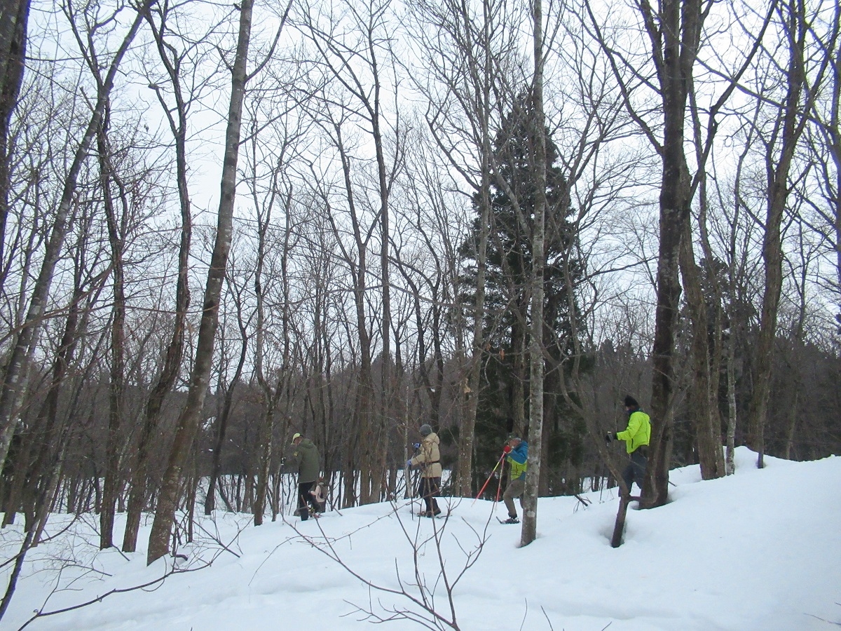 パークボランティア