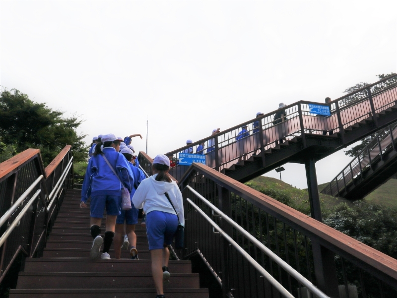 これまでの津波遡上高がわかる階段